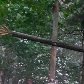 Ingrid aus Kirchdorf