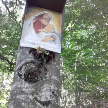 Margit aus Kirchdorf