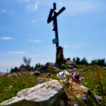 Katrin aus Schärding