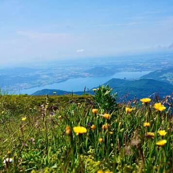 Katrin aus Schärding