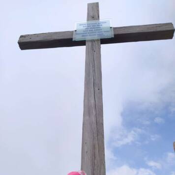 Caroline aus Urfahr-Umgebung