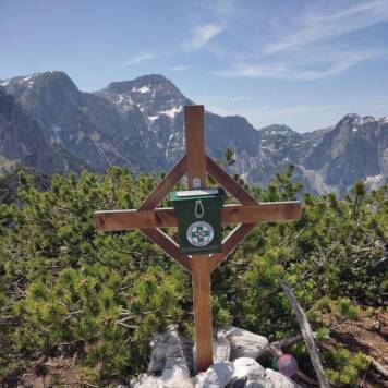 Harald aus Linz-Land