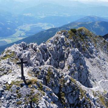 Harald aus Linz-Land