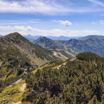 Adolf aus Grieskirchen