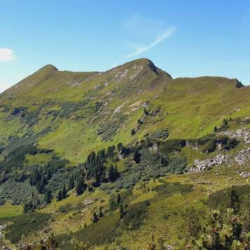 Adolf aus Grieskirchen