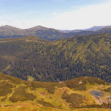 Adolf aus Grieskirchen