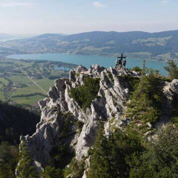 David aus Vöcklabruck