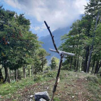 Ingrid aus Kirchdorf