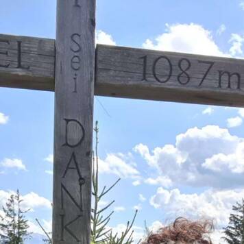 die_dirndlerin aus Wels