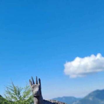 die_dirndlerin  aus Wels