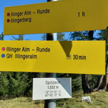 Nicola aus Freistadt