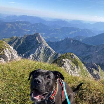 Rebecca  aus Linz-Land