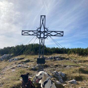 Rebecca und Clemens aus Linz-Land