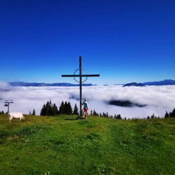 Daniela aus Rohrbach