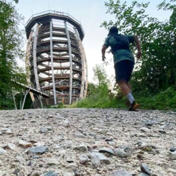 David aus Vöcklabruck