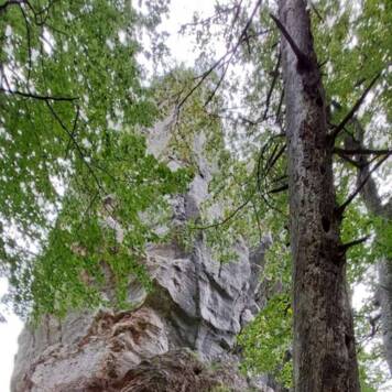 Ingrid aus Kirchdorf