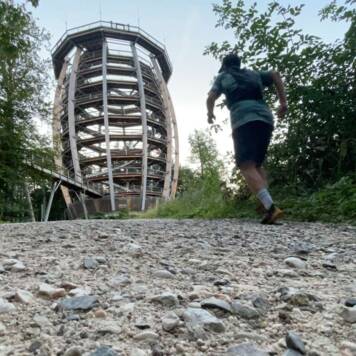 David aus Vöcklabruck