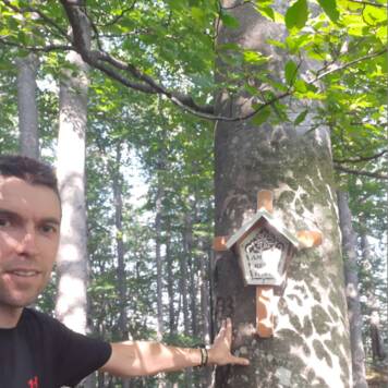 Rudolf aus Kirchdorf