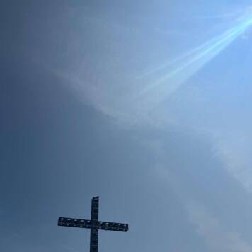 Karin  aus Grieskirchen