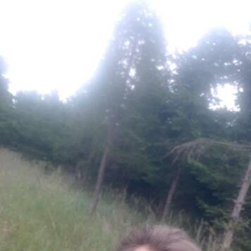 Johannes aus Vöcklabruck