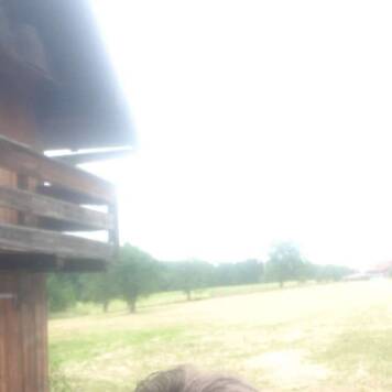 Johannes aus Vöcklabruck