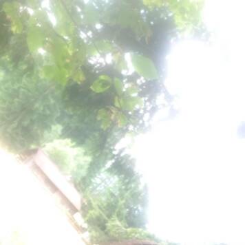 Johannes aus Vöcklabruck