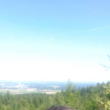 Johannes aus Vöcklabruck