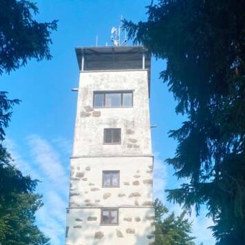 Barbara aus Eferding