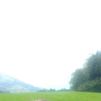 Johannes aus Vöcklabruck