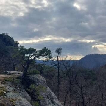 Elisabeth aus Urfahr-Umgebung