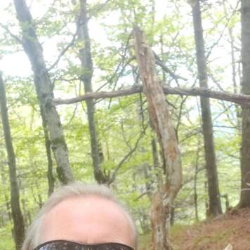 Thomas aus Freistadt