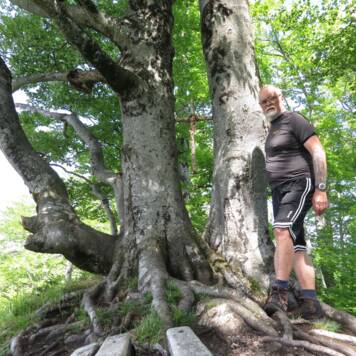 Helmut aus Kirchdorf