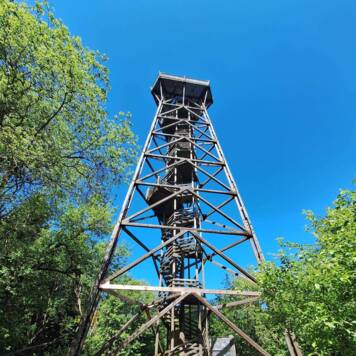 Nicole aus Kirchdorf