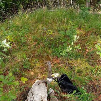 Claudia aus Kirchdorf