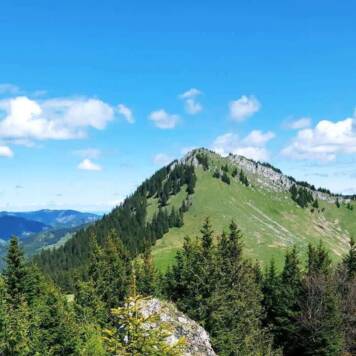 Adelheid aus Freistadt