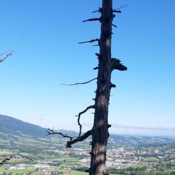 Ingrid aus Kirchdorf