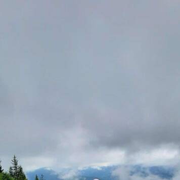 Ingrid aus Kirchdorf