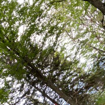 Gabriele aus Amstetten