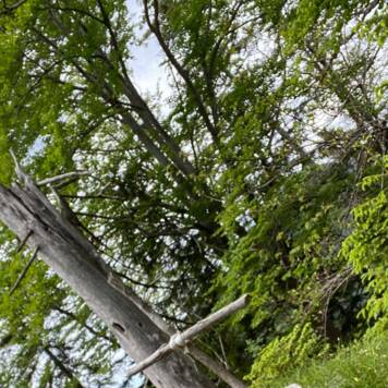 Gabriele aus Amstetten