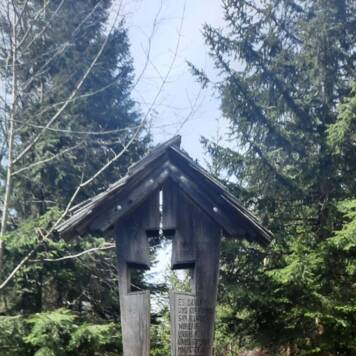 Ingrid aus Kirchdorf