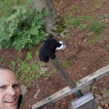 Robert aus Linz-Land