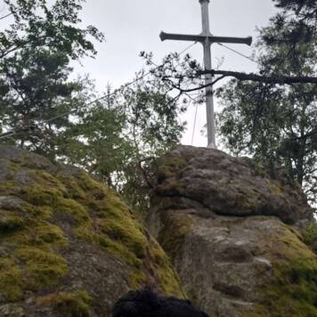 Anja aus Urfahr-Umgebung