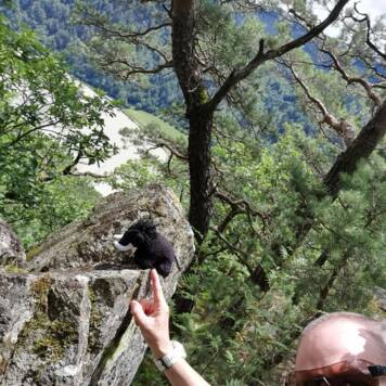 Robert aus Linz-Land