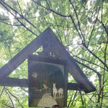 Elisabeth aus Urfahr-Umgebung