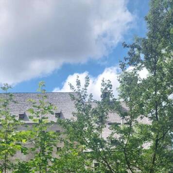 Elisabeth aus Urfahr-Umgebung