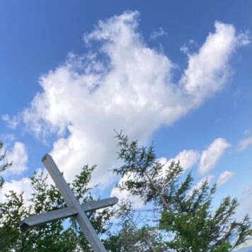 Gabriele aus Amstetten