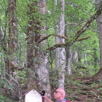 Dietmar aus Urfahr-Umgebung