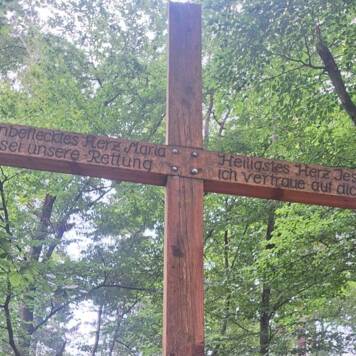 Dietmar aus Urfahr-Umgebung