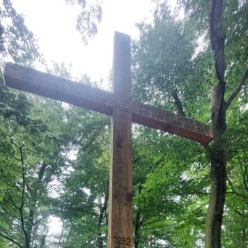 Elisabeth aus Urfahr-Umgebung