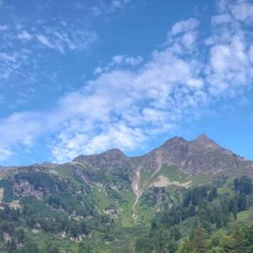 Elisabeth aus Urfahr-Umgebung